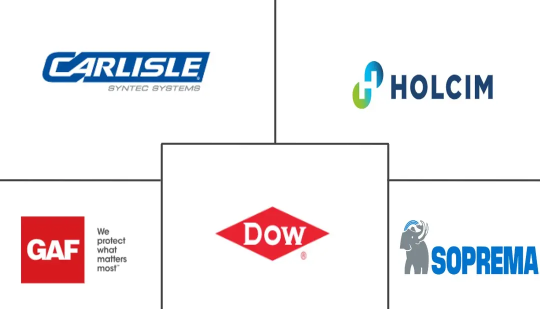 屋顶膜市场规模