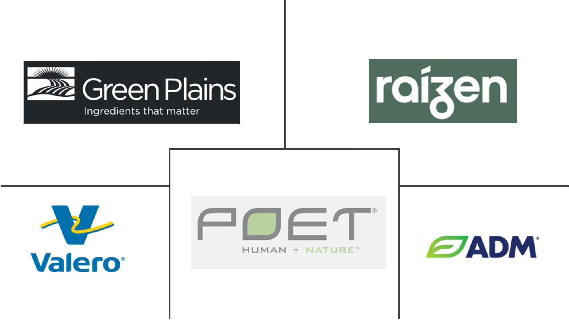 生物乙醇市场规模和份额