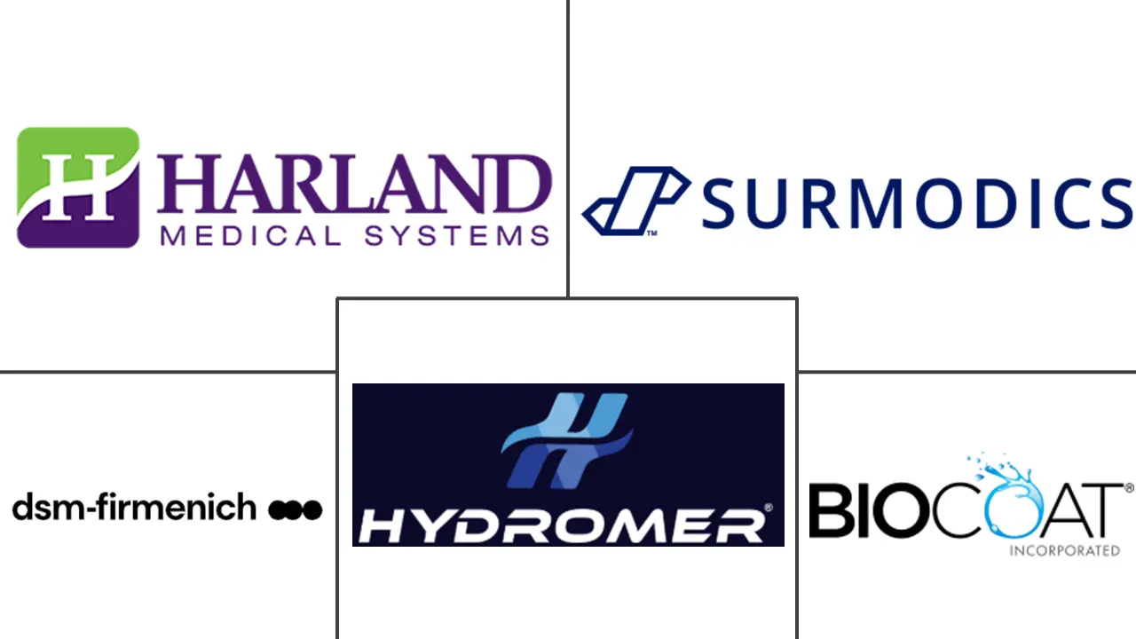 亲水涂料市场规模及份额