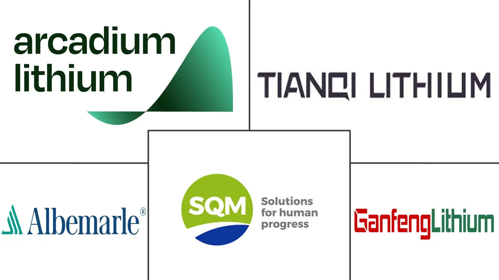 锂市场规模和份额