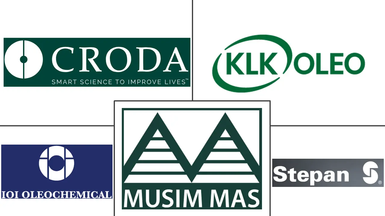 中链甘油三酯 (MCT) 市场规模和份额