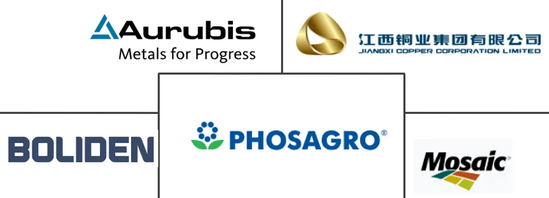 硫酸市场规模及份额