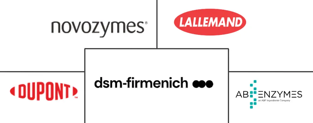 生物燃料酶市场规模和份额