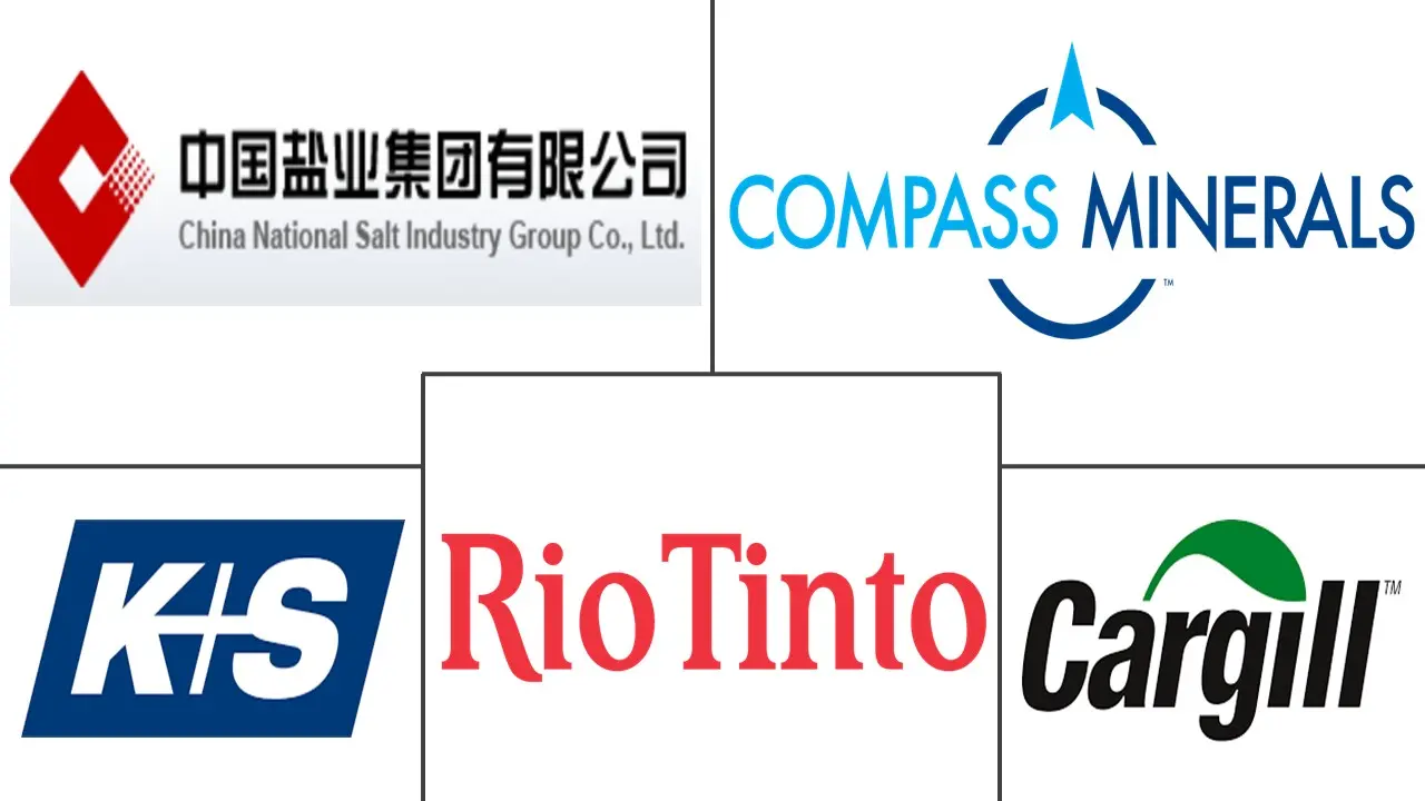 工业盐市场规模和份额