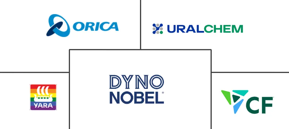 硝酸铵市场规模及份额