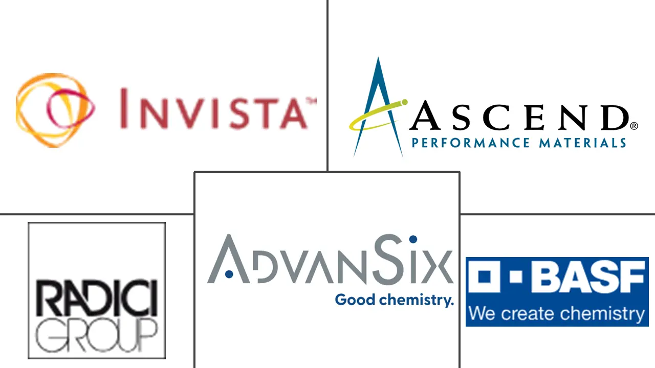 己二酸市场规模和份额