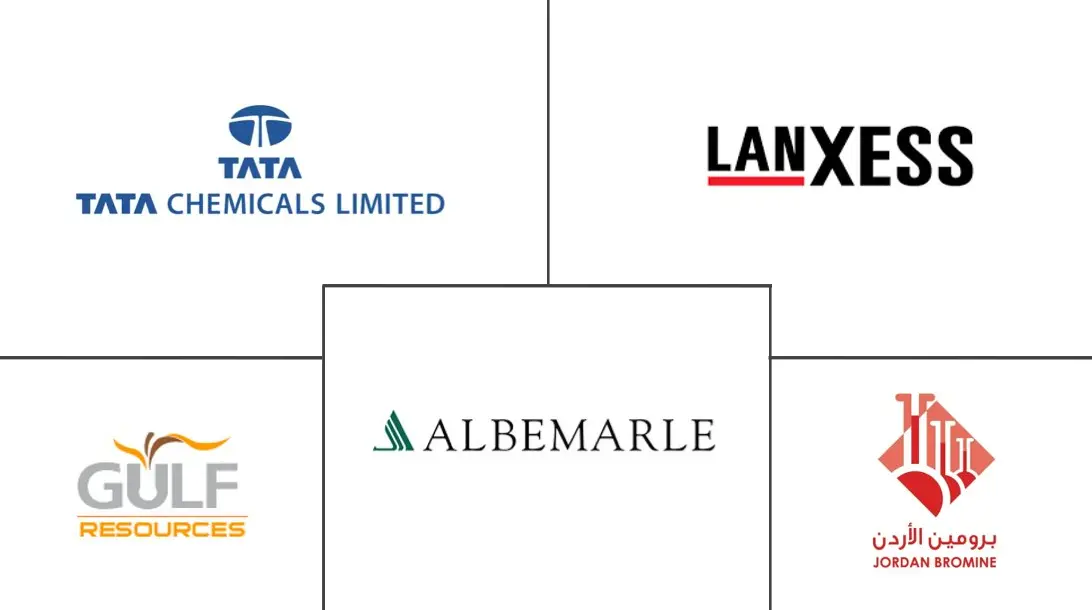 溴衍生物市场规模
