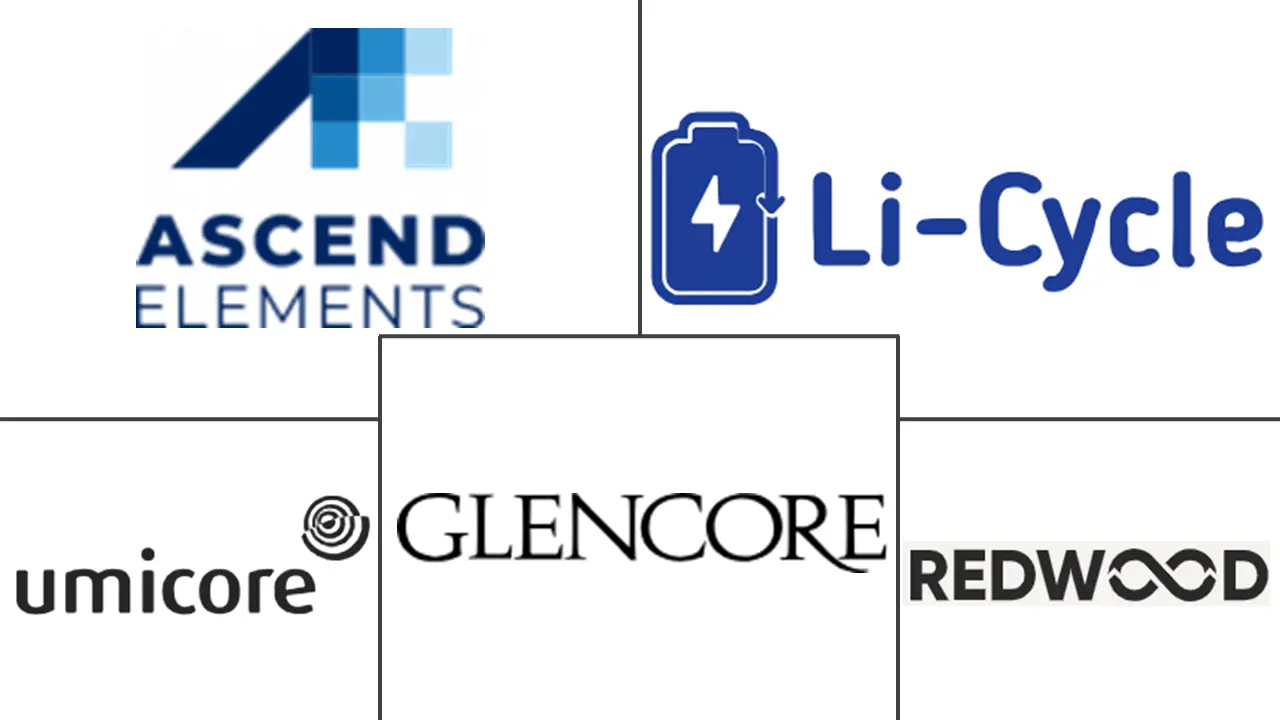 黑色大规模回收市场规模和份额