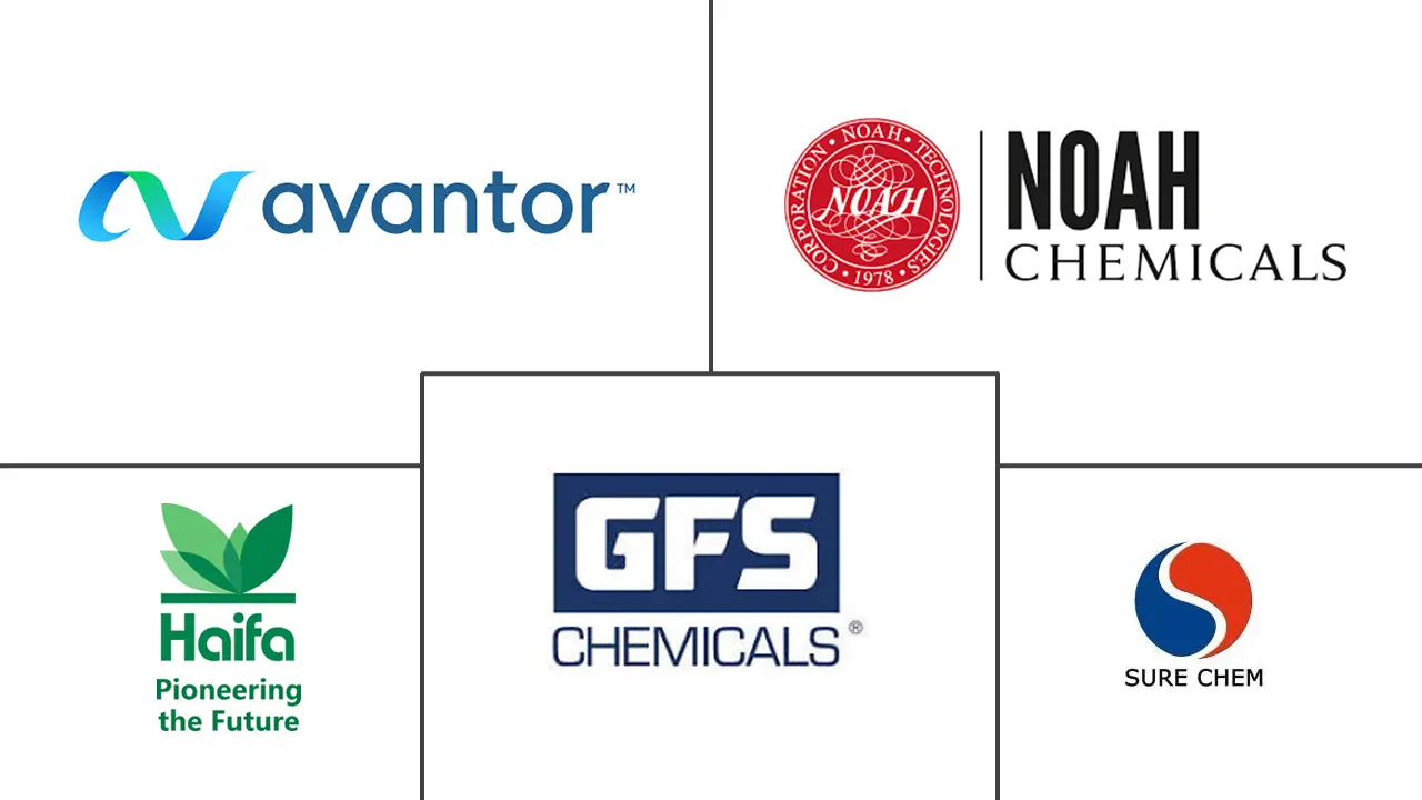 六水硝酸镁市场规模及份额