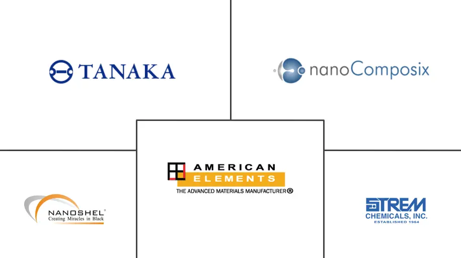 铂纳米颗粒市场规模