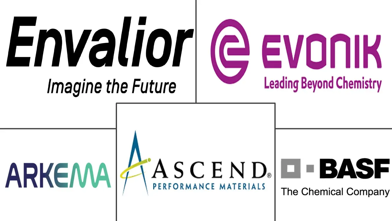 聚酰胺市场规模和份额