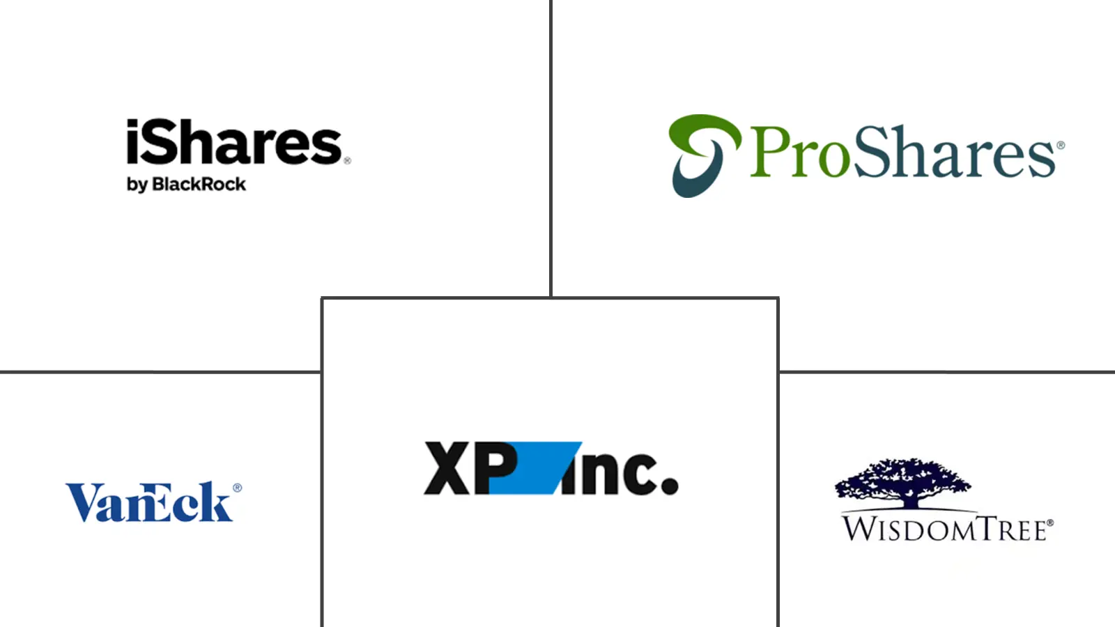 南美 ETF 市场规模和份额