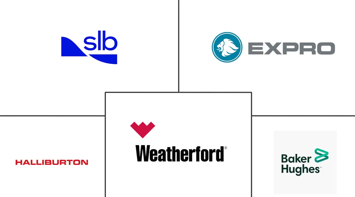 钢丝测井服务市场规模和份额