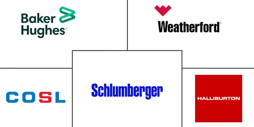 有线测井服务市场规模和份额