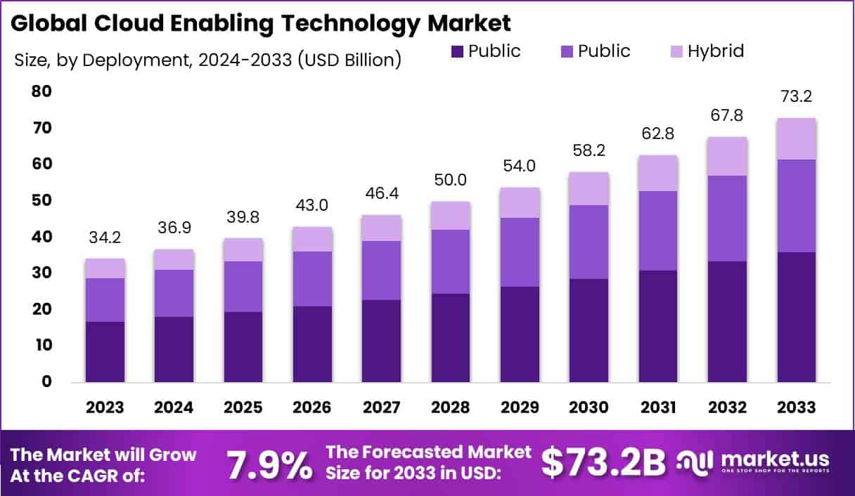 云支持技术市场(2024-2033)