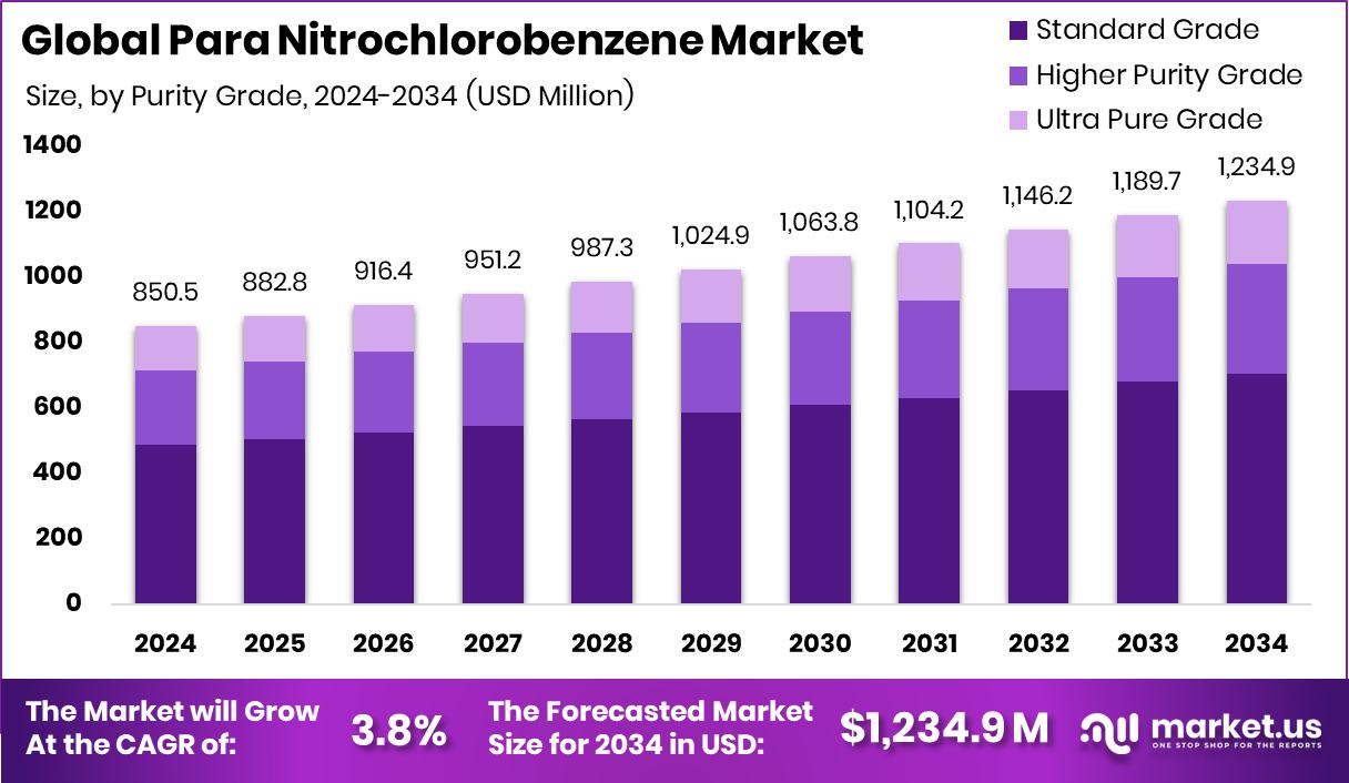 对硝基氯苯市场(2025-2034)