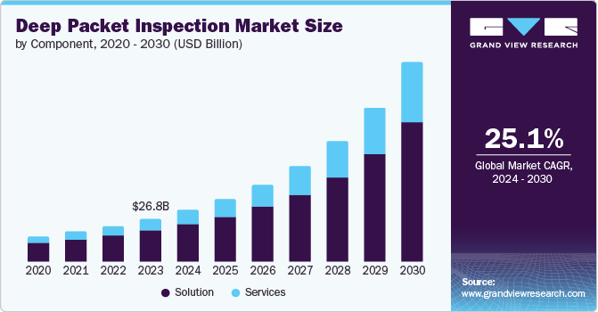 深度包检测市场（2024 - 2030）
