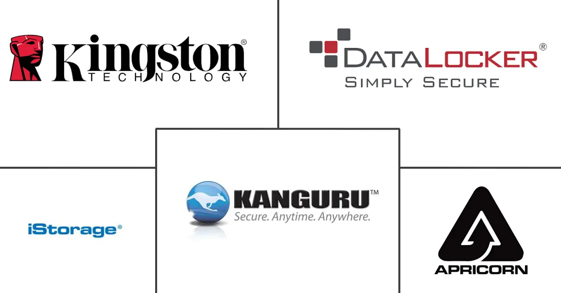 安全闪存驱动器市场规模和份额