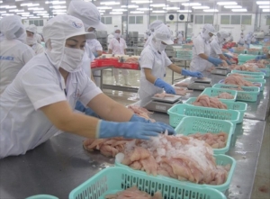 又有六家越南巴沙鱼生产商进入美国市场