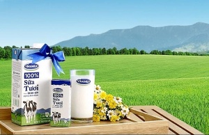 泰国 F&N Dairy Investments 寻求增持 Vinamilk 股份