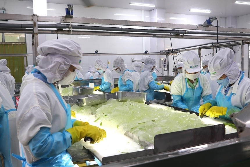 食品加工吸引外国投资者