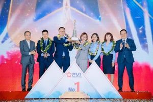 PVI 保险在平均劳动生产率方面位居市场首位