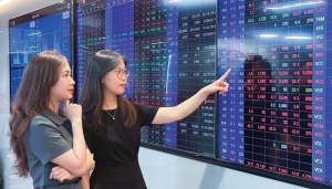 70% 的股票以危机条件下的价格交易
