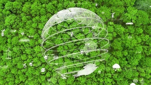 财政部寻求企业在 ESG 方面的积极主动性