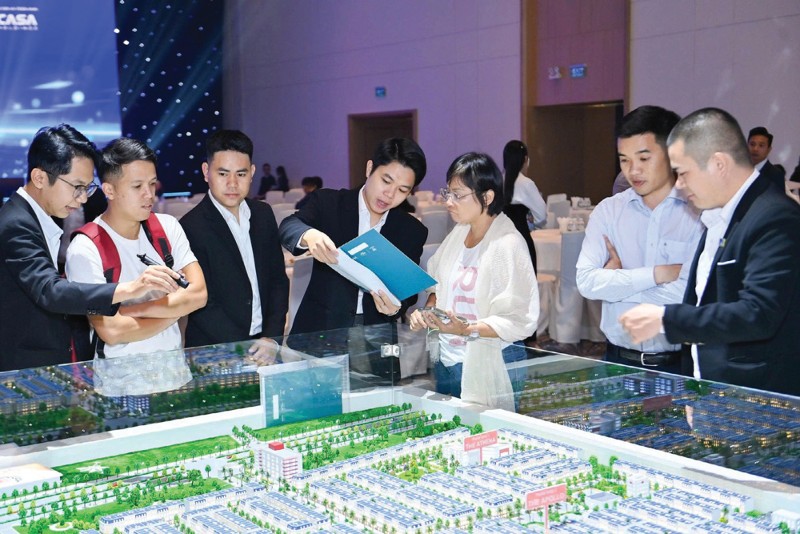 对拟议住房发展战略的期望