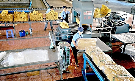 嘉莱企业获23张境外投资牌照