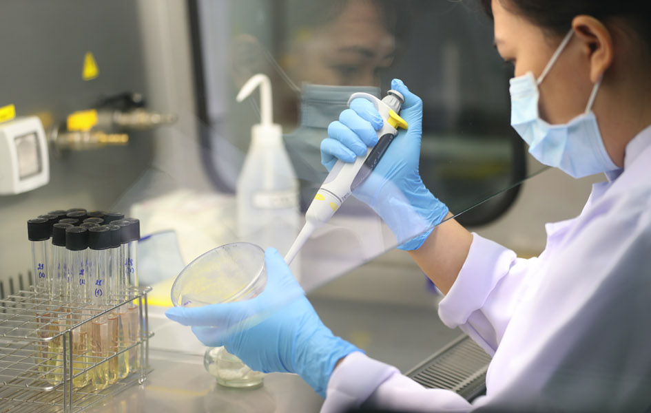 科学研究与技术开发
