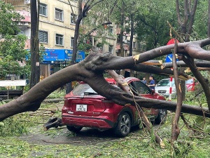 台风八木过后,SBV 下令减免债务并提供贷款支持