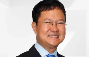 本土企业让并购存在感十足