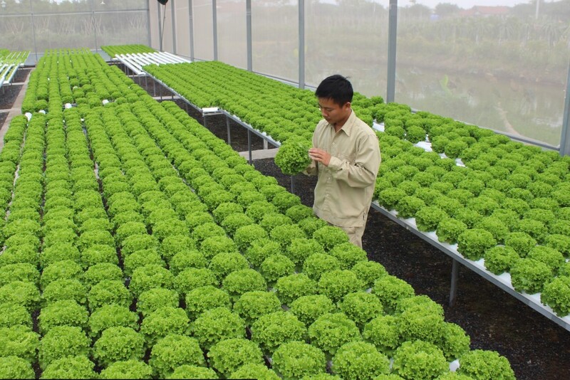 农业高新区激励政策