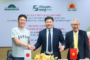 日本为湄公河三角洲水稻种植制定技术