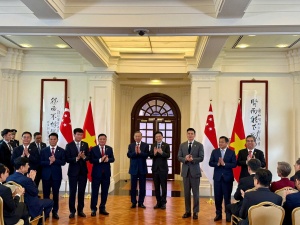 VSIP合资企业获得五个新工业园的批准