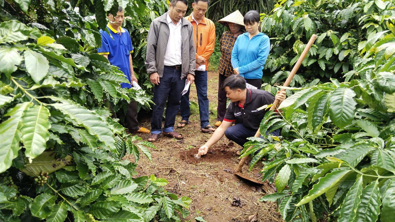 根据雀巢咖啡计划,农民接受了再生农业技术培训