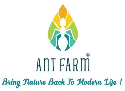 CÔNG TY TNHH MỘT THÀNH VIÊN ANT FARM