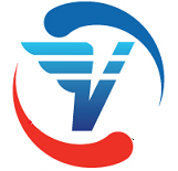CÔNG TY TRÁCH NHIỆM HỮU HẠN GIAO NHẬN VẬN TẢI V-LINK