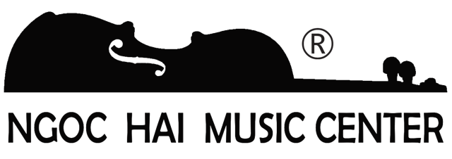 CÔNG TY TNHH NGỌC HẢI VIOLIN