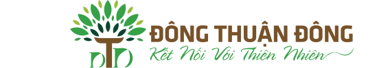 CÔNG TY TNHH CÂY XANH ĐÔNG THUẬN ĐÔNG
