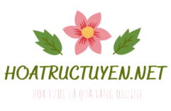 Doanh Nghiệp Tư Nhân Hoa Đất Việt