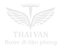 CÔNG TY TNHH THƯƠNG MẠI QUỐC TẾ THÁI VÂN