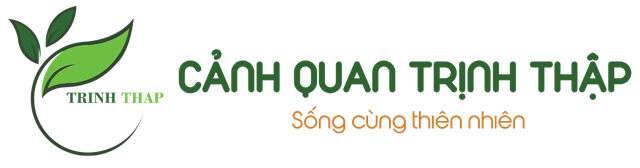 CÔNG TY TNHH CẢNH QUAN TRỊNH THẬP