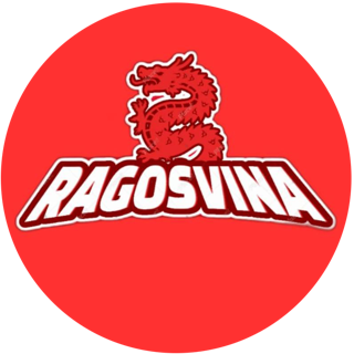 CÔNG TY CỔ PHẦN XNK RAGOS VINA