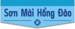 CÔNG TY TNHH SẢN XUẤT XÂY DỰNG THƯƠNG MẠI DỊCH VỤ TÍN PHÁT