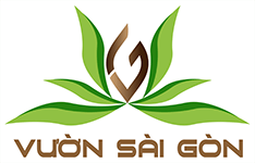 CÔNG TY TNHH LÀNG HOA GÒ VẤP