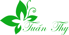 CÔNG TY TNHH SẢN XUẤT THƯƠNG MẠI DỊCH VỤ TUẤN THY