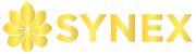 CÔNG TY TNHH QUỐC TẾ SYNEX