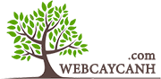 CÔNG TY TNHH WEBCAYCANH